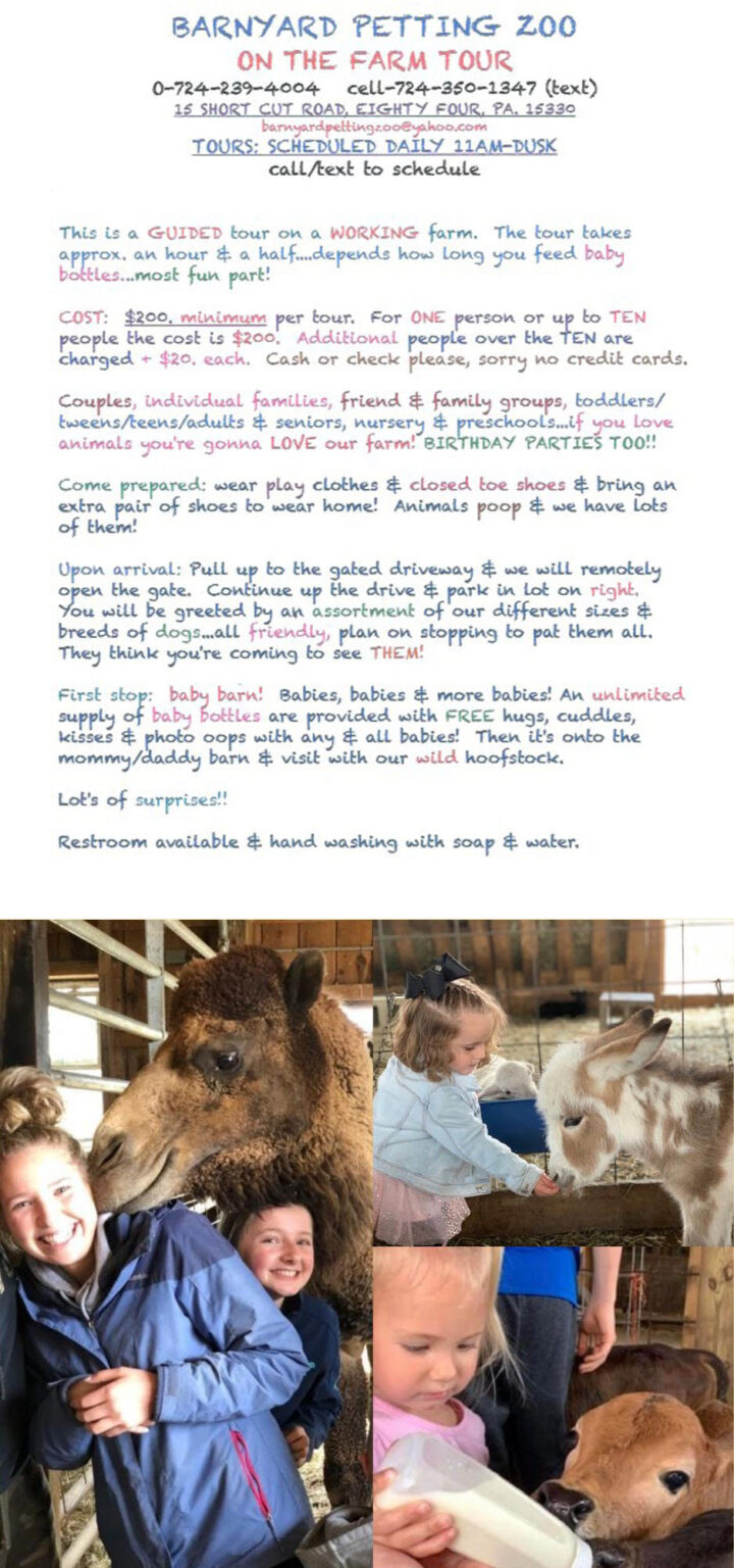 Barnyard Petting Zoo